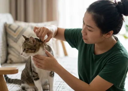Cách kiểm tra nhanh tình trạng mất nước ở chó mèo tại nhà