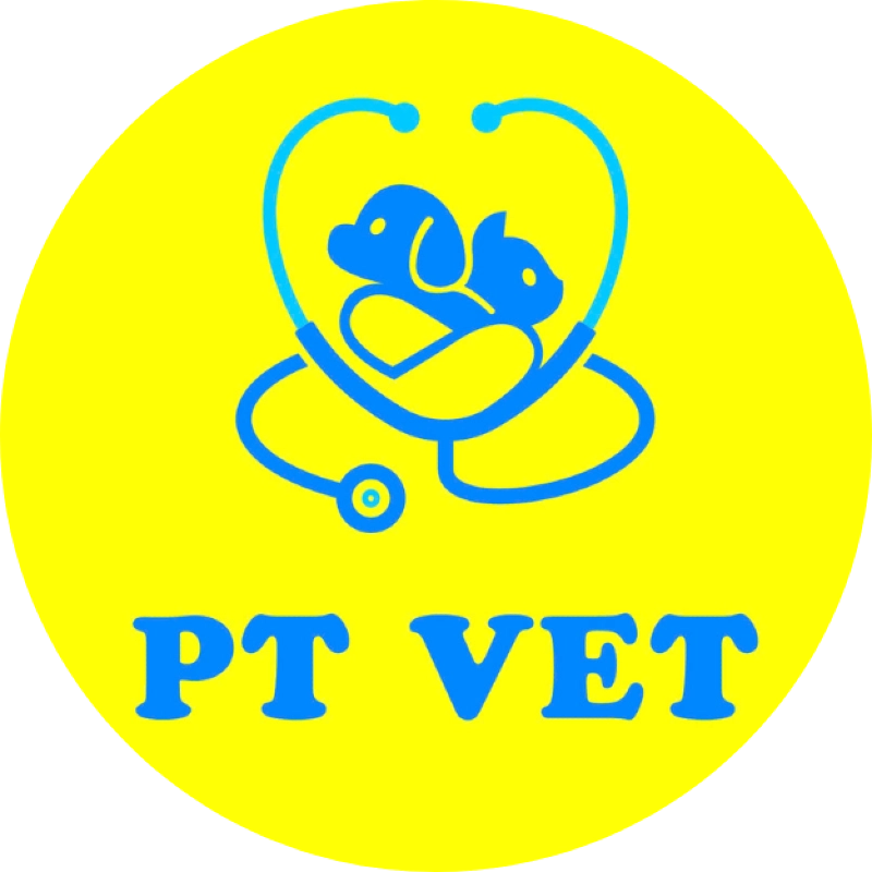 PHÒNG KHÁM THÚ Y PT VET
